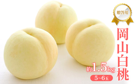 桃 2026年 先行受付 贈答用 岡山 白桃 約1.5kg (5〜6玉) フルーツ 果物 岡山 赤磐市