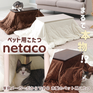 こたつ ペット用こたつ netaco 猫 こたつ ブラウン