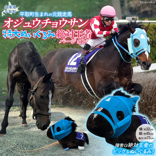 yoshi、他の方はご遠慮下さい競争馬取外し　蹄鉄 JRA/日本中央競馬会】競走馬が使用した蹄鉄と蹄釘のセット BICB001