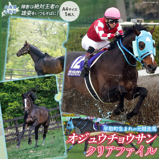 【オジュウチョウサン】クリアファイル（写真）5枚入り BRTV019