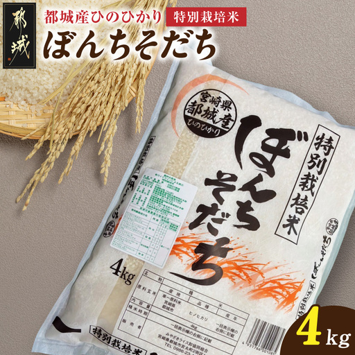 都城産ひのひかり特別栽培米「ぼんちそだち」4kg〔AA-N5-001-4kg〕_(都城市) 都城産 お米 4kg 4kg×1 ひのひかり ぼんちそだち