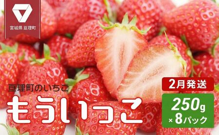 【2月配送】いちご 亘理町のいちご もういっこ 250g × 8パック オンライン決済限定 先行受付中 苺 果物 フルーツ イチゴ セット 仙台いちご