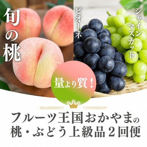桃(5-7玉)とピオーネ&シャインマスカット(3-5房)の2回便 (定期便)(岡山県産)[KF-T029-02]