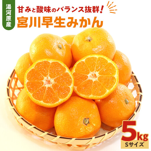 甘みと酸味のバランス抜群・宮川早生みかん　5kg(Sサイズ) 　2026年11月中旬～下旬頃に発送予定| 湯河原町 Sサイズ 5kg 宮川早生みかん 果物 旬 みかん フレッシュ
