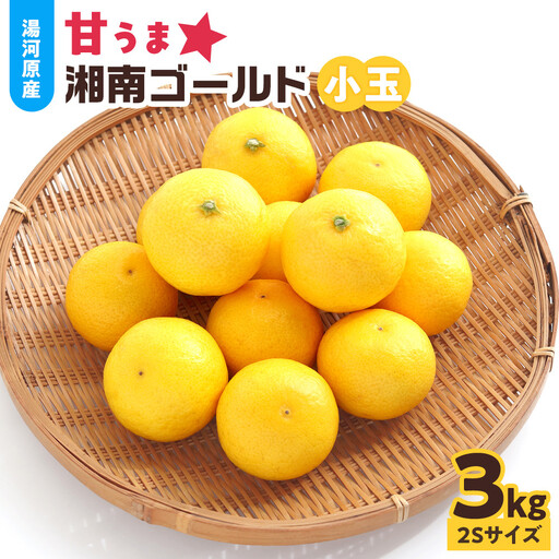 【希少フルーツ】甘ウマ☆小玉・湘南ゴールド(2Sサイズ)　3kg　2027年2月下旬～3月中旬頃発送予定 | 湯河原町 小玉 2Sサイズ 3kg 種なし 柑橘類 地域特産品