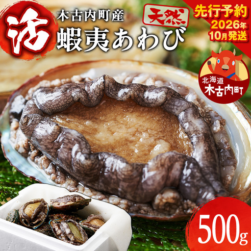 【2026年10月以降発送】活あわび 500g 木古内産