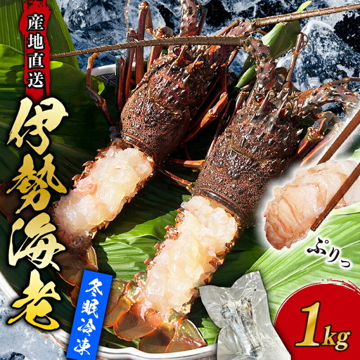 [ 訳あり ] 伊勢海老 冷凍 1kg いせえび 海老