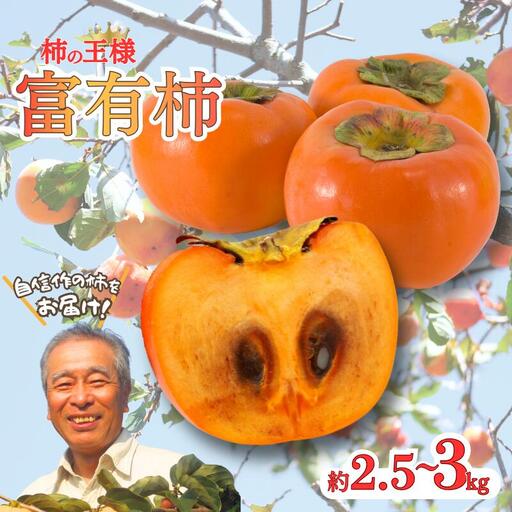 先行予約 富有柿 約2.5〜3kg 秀優混合 サイズ混合 [2026年11月中旬〜12月下旬頃発送予定]〜こんな美味しいの「食べるのはじめてや!」感動をお届けします。〜 / 柿 富有柿 和歌山県 かつらぎ町 秋の味覚 フルーツ 果物 甘い 美味しい 旬[G-art044]