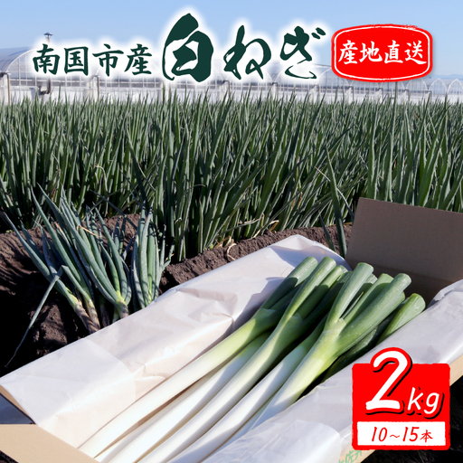 [先行予約 2026年12月〜発送]白ねぎ 2kg(10〜15本) 長ねぎ