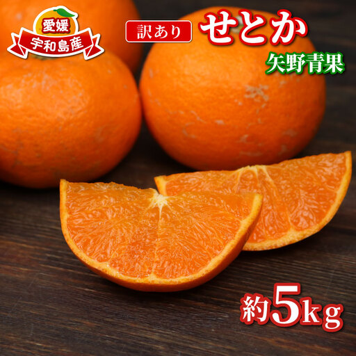 訳あり せとか 矢野青果 5kg せとか B012-171032