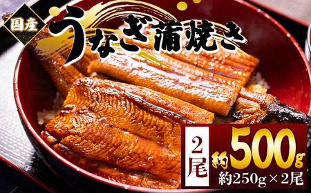 国産蒲焼きうなぎ 250g 2尾 計500g fb-0167