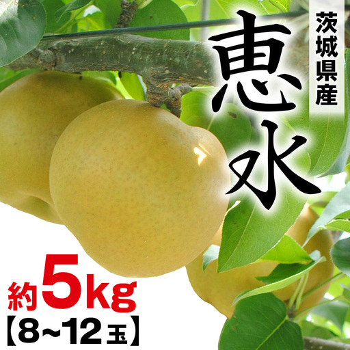 恵水 約 5kg （8～12玉） 2026年産 先行予約 梨 果物 フルーツ なし ナシ 恵水梨 くだもの デザート 茨城 [BQ021sa]