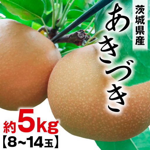 あきづき 約 5kg （8～14玉） 2026年産 先行予約 梨 果物 フルーツ なし ナシ あきずき あきづき梨 くだもの デザート 茨城 [BQ022sa]