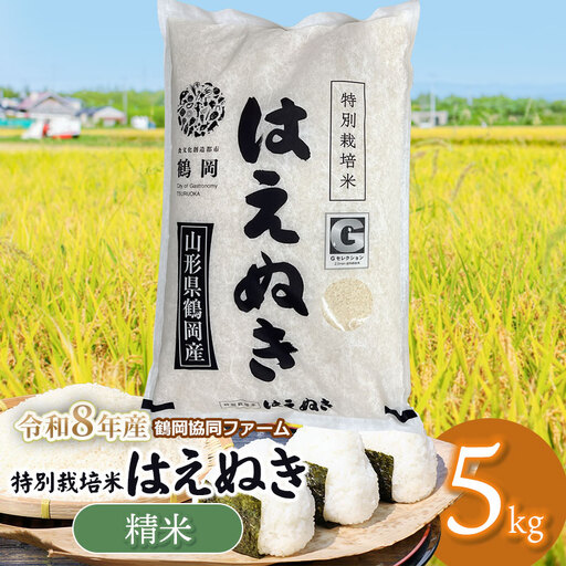 【令和8年産先行予約】特別栽培米はえぬき　精米5kg　(5kg×1袋)　山形県鶴岡産　鶴岡協同ファーム