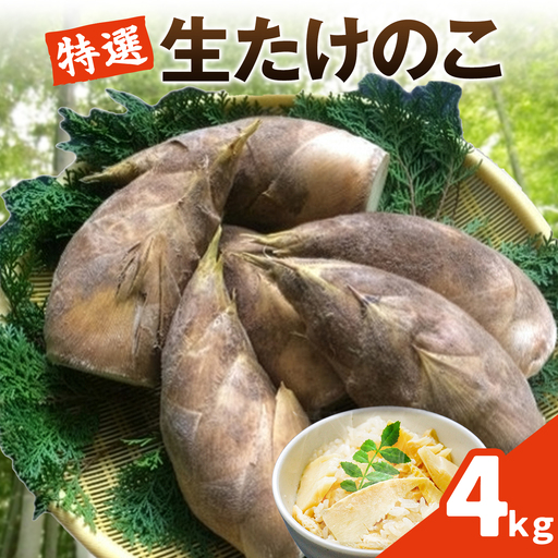 [先行受付]特選 生たけのこ 4kg予約 [3月下旬-4月下旬頃出荷]古賀商店 熊本県 南関町産 春 筍