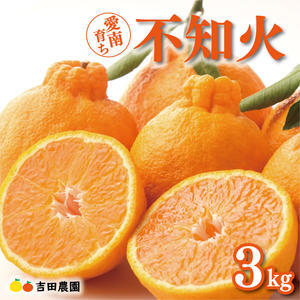 【先行予約】【 デコポン と同品種】 不知火 3kg みかん しらぬい 愛媛 愛南 吉田農園