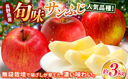 【先行予約】信州産 サンふじ約3kg（8～12玉）《2026年11月中旬頃から発送》