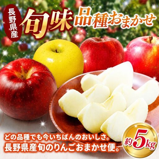 【先行予約】信州産りんご【品種おまかせ】約5kg (14～20玉)【秋映・シナノスイート・シナノゴールド・名月・サンふじ・あいかの香り】《2026年10月上旬頃から発送》