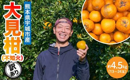 先行予約 熊本大見柑 (不知火) 訳あり 4.5kg (13～24玉) 【2027年2月上旬から2027年2月下旬発送予定】
