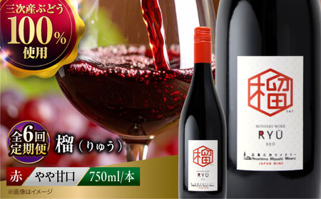[全6回定期便] 赤ワイン 榴 りゅう RYU 750ml×1本 [APAZ139]赤ワイン