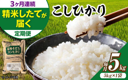 【全3回定期便】新米 令和8年産コシヒカリ 5kg [APBM029]
