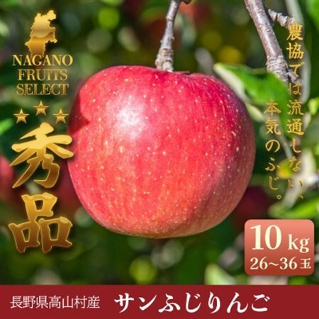 ふじりんご 10kg(26～36玉)|常温配送・2026年12月以降発送|長野県高山村産【1691148】