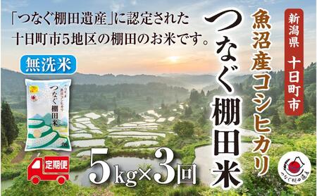 【定期便／全3回】無洗米5kg　令和7年産新潟県十日町市魚沼産コシヒカリ「つなぐ棚田米」 米 こしひかり 無洗米 定期 十日町市