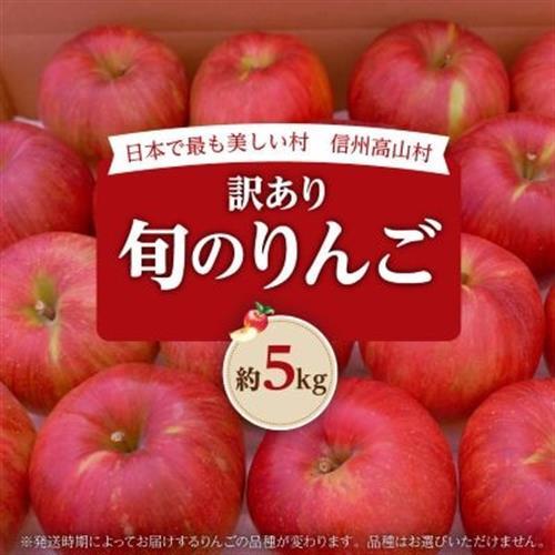 【2026年先行受付】日本で最も美しい村ー信州高山村ー　旬のりんご約5kg入り【訳あり品】【1696077】