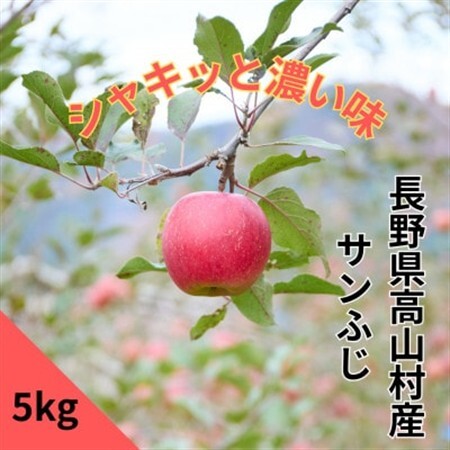 [完熟]サンふじ家庭用りんご 5kg[長野県高山村産]