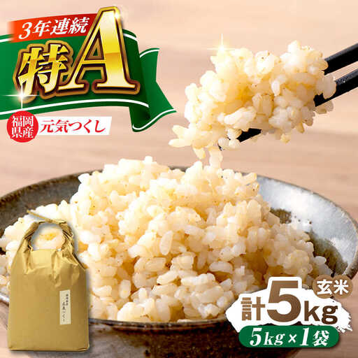 福岡県産 元気つくし 玄米 5kg×1袋 [BGAF026]元気つくし