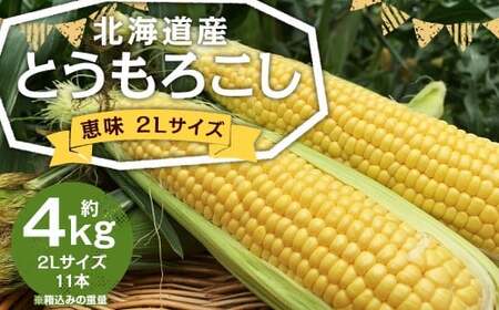 北海道産 とうもろこし 恵味 2Lサイズ 11本 約4kg 1箱 国産 トウモロコシ 冷蔵 [2026年8月上旬-8月下旬迄発送予定]