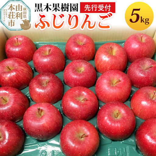 《先行受付》りんご（ふじ）5kg 黒木果樹園のりんご（12月上旬～1月下旬に発送）