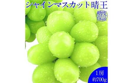 晴王 シャインマスカット晴王 1房 約700g 【先行予約：2026年9月上旬～10月下旬発送予定】 岡山県産 種無し 皮ごと食べる みずみずしい 甘い フレッシュ 糖度保証 クール発送 瀬戸内 晴れの国 おかやま 果物大国 満天フルーツ 冷蔵 岡山県 倉敷市