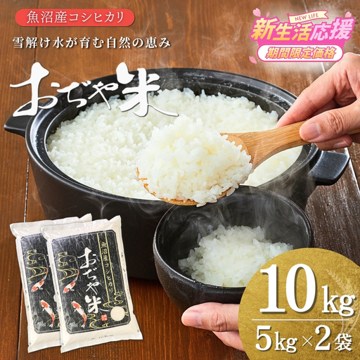 魚沼産コシヒカリ 令和7年「おぢや米」 10kg（5キロ×2）| 特A 新潟県 小千谷市 魚沼地域