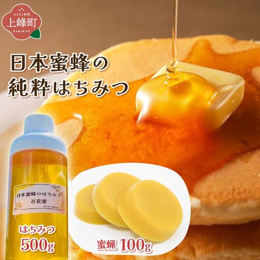 日本蜜蜂の純粋はちみつ 500g×1 蜜蝋100g付