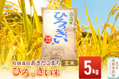[玄米] 秋田県産 あきたこまち 5kg 令和7年産 特別栽培米 ひろっきい米