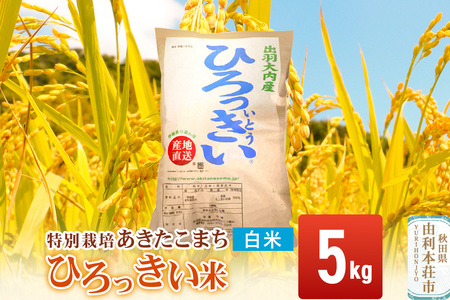 [白米] 秋田県産 あきたこまち 5kg 令和7年産 特別栽培米 ひろっきい米