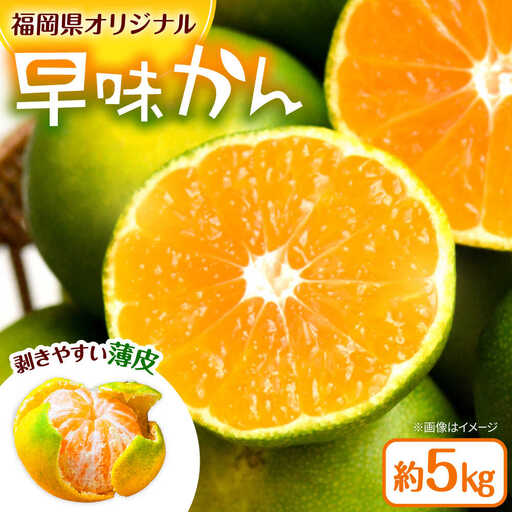福岡県オリジナル品種極早生みかん『早味かん』約5kg/2026年9月頃より発送予定 桂川町/一般社団法人地域商社ふるさぽ[ADCF014]