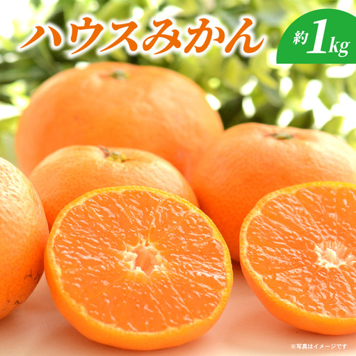 ハウスみかん 約1kg _c-139