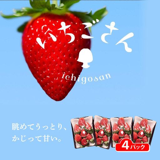 いちごさん 4パック _b-496