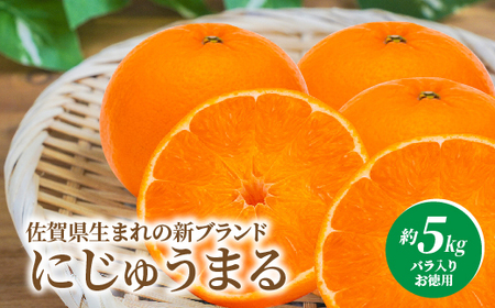 にじゅうまる 約5kg バラ入り お徳用 _e-38