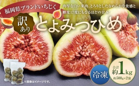 [訳あり] 冷凍いちじく 「とよみつひめ」 1kg (500g×2袋) / いちじく イチジク 果物 果実 フルーツ 冷凍フルーツ 冷凍