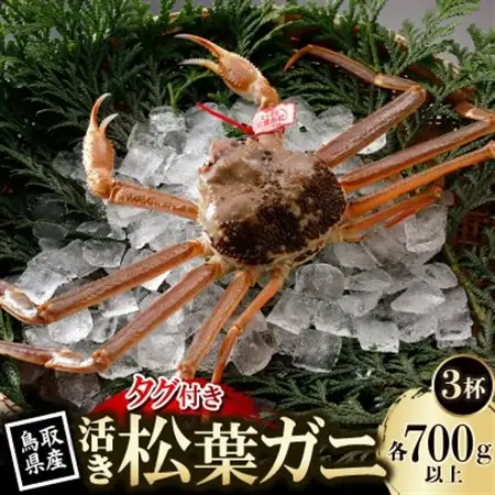 �ԗ�i�摜