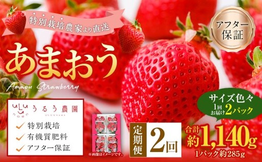 [2回定期便] うるう農園のあまおう サイズ色々2パック(計約570g) [2027年3月上旬〜4月下旬発送予定] あまおう いちご 苺 果物 フルーツ 定期便 冷蔵 福岡県 太宰府