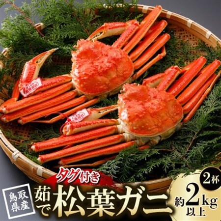 【先行予約】鳥取県産 タグ付き 茹 松葉がに 1kg以上×2杯(中村商店)2027年1月末～順次発送【配送不可地域：離島・北海道・沖縄県・東北・信越、北陸】【1692922】