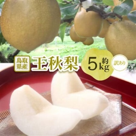 【訳あり】王秋梨 5kg(5～16玉前後)【配送不可地域：離島・北海道・沖縄県】【1696737】