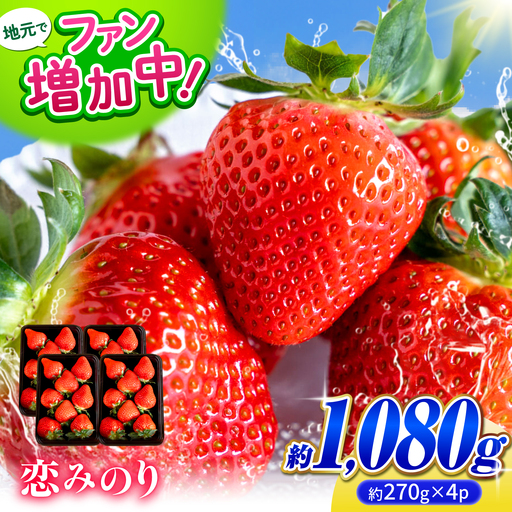 【先行予約】 いちご 恋みのり約1080g(約270g/6〜11粒×4p) 熊本いちご苺イチゴZFO006