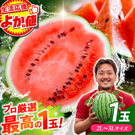 ＼生活応援キャンペーン／熊本すいか大玉2L〜3Lサイズ1玉 (約7〜9kg)[ZFV001]