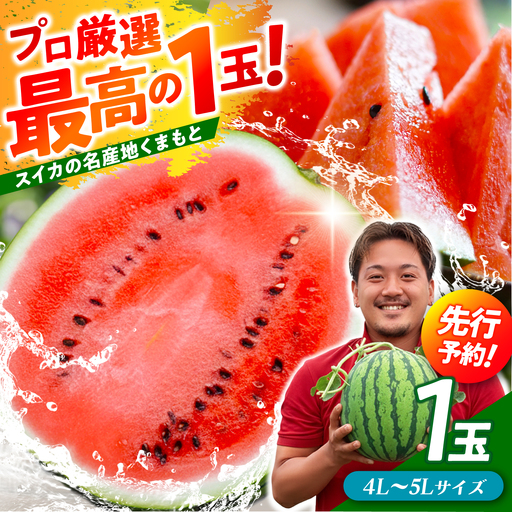 大玉スイカ！ 4L～5Lサイズ（約9kg～11kg）　厳選 1玉！ すいかの名産地 熊本からお届け 【城野農園】[ZFV002]