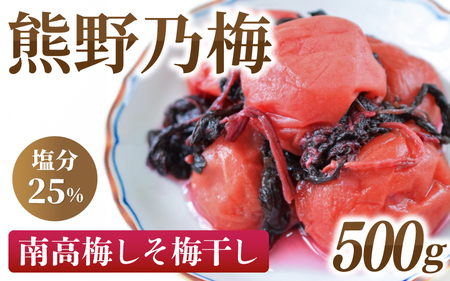 梅干し 南高梅 熊野乃梅 500g 梅干し[snby0001A]